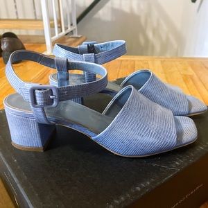 EVERLANE The Block Heel Sandals in Dusty Blue Lizard